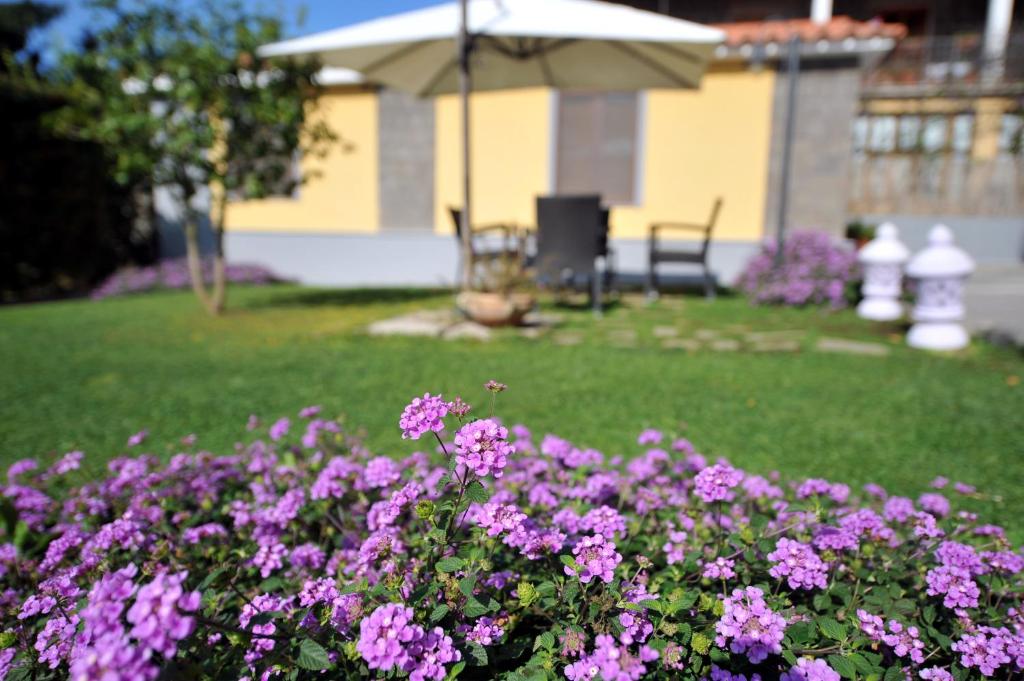 Wellness & Experiences